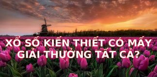 Xổ Số Kiến Thiết Có Mấy Giải Thưởng Tất Cả? Giải Mã Chi Tiết Nhất