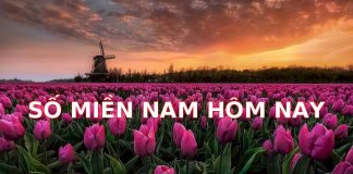 Dự Đoán Kết Quả Xổ Số Miền Nam Hôm Nay: Bí Quyết “Vàng” Để Trúng Lớn!