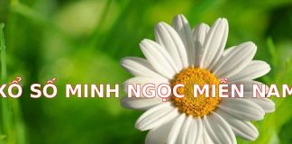 Xổ Số Minh Ngọc Miền Nam: Cẩm Nang Tra Cứu, Dự Đoán Và Bí Quyết Trúng Thưởng