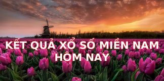 Kết Quả Xổ Số Miền Nam Hôm Nay: Cập Nhật Nhanh Chóng và Chính Xác Nhất